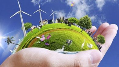 دوست دار محیط زیست