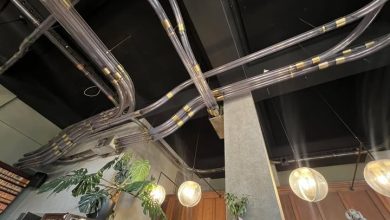 انتقال دانه قهوه